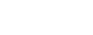 shaddhi.com logo