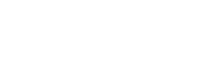 skinnsi logo